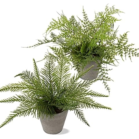 Oairse 2 Pack Artificial Boston Fern Plant in Pots Decorative Artificial Plant Small Fake Plants Indoor Faux Fern Potted for Home Bedroom Office Desk Room Decoration Cover