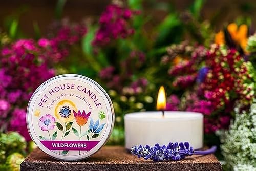 One Fur All Pet House Mini Candles for Pet Odor Made with Natural Soy Wax, Plant Based, Dog and Cat Friendly Scented Candles, Juicy Mellon Pack of 3