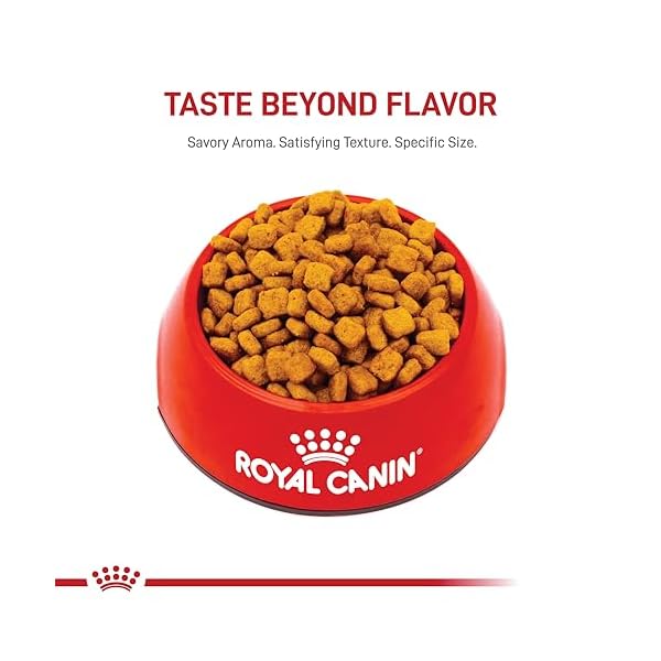 Royal Canin Dry Dog Food, Dachshund Formula, 10-Pound Bag by Royal Canin – Bild 11