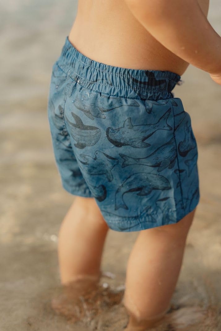 Little Dutch Badeshorts Badehose für Baby Junge - Sea blau (Gr. 62/68)