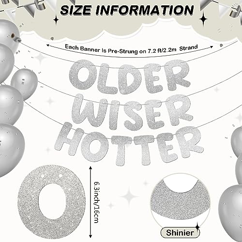 Image of Fulmoon Set of 3 Pre Strung Older Wiser Hotter Glitter Banner Funny Birthday Banner for Women 30th 40th 50th 60th 70th 80th Birthday Party Decorations Sign Gift(Silver)