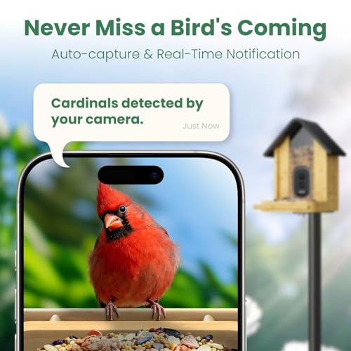 Image of Smart Bird Feeder Camera with Solar Panel, Bamboo