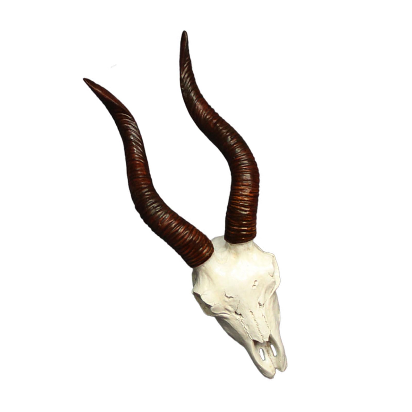 Domasvmd Home Decors Cow Skull Head Wall Art Decors Long Horn Bulls Head Wall Sculpture Decorative Animal Craft For Farmhouses Animal Skull Craft