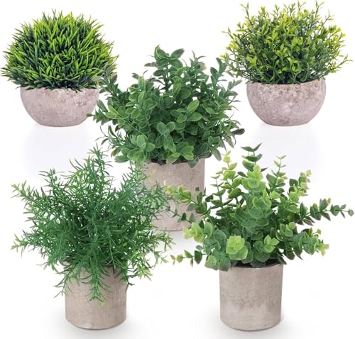 Truevaste 5 Stück Künstliche Pflanzen, Kunstpflanze Kleine mit...