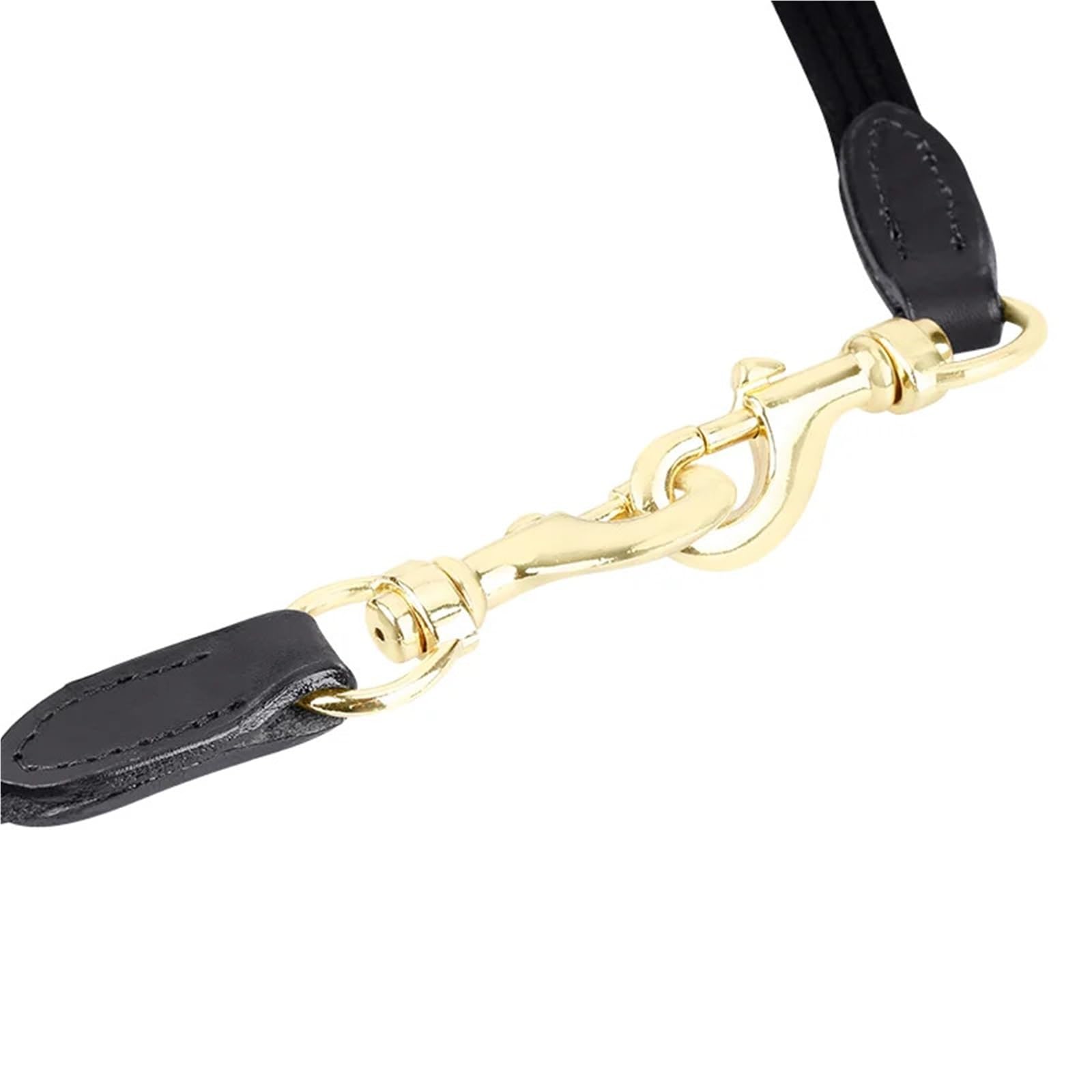 Caballos for Montar con Bridas Que Cubren Las riendas Cuando el Entrenador de Caballos Utiliza Equipo Ecuestre Importante para Caballos