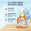Lysol Pro Kitchen Spray Cleaner and Degreaser, Antibacterial All Purpose Cleaning Spray for Kitchens, Countertops, Ovens, and Appliances, Citrus Scent, 22oz #1