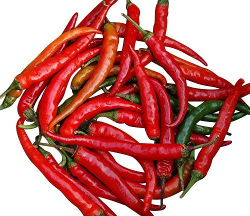 Chili Ring of Fire - 10 semillas