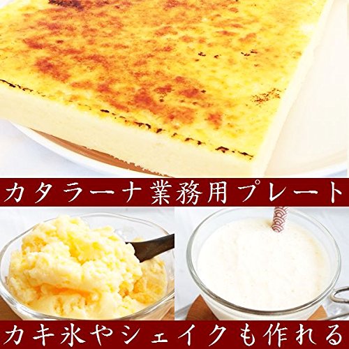 カタラーナ業務用1.5kgセット ハーフサイズ2枚 カタラーナ業務用1.5kgセット ハーフサイズ2枚