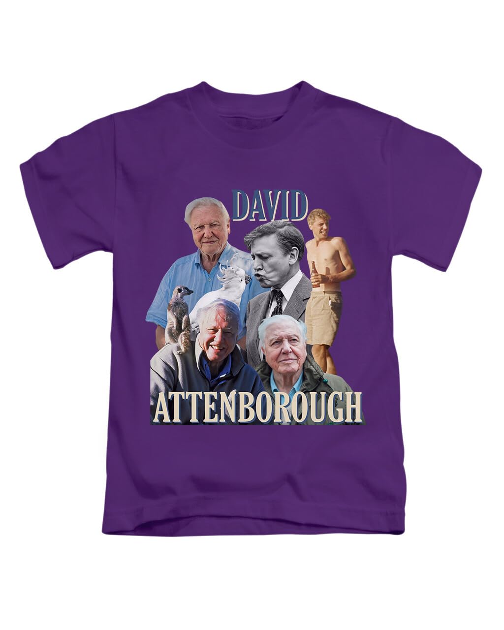 New Spirit Original Unisex Purple David Attenborough Tee T-Shirt Funny T Shirt Top