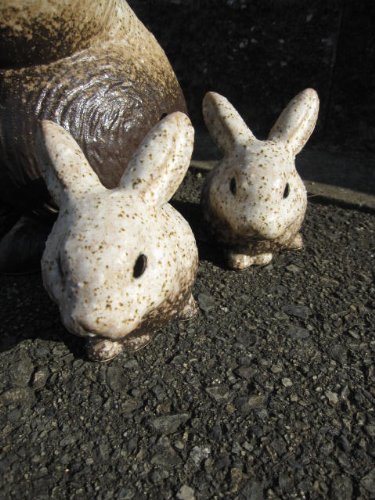 Amazon.co.jp: 信楽焼きの 陶器の 味わいのある ウサギです。 信楽