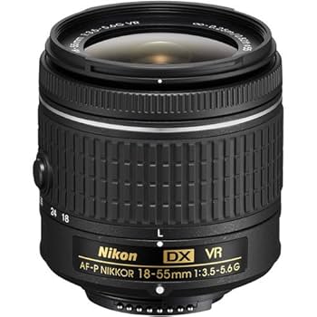 Amazon.com : Nikon D5600 24.2MP DSLR Digital Camera with AF