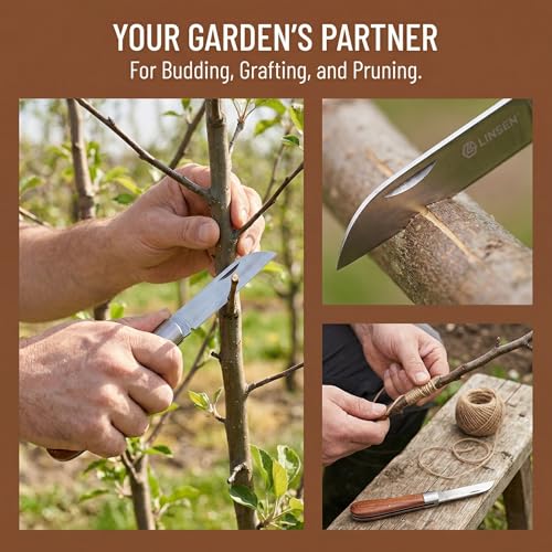 Cuchillo Plegable Multiusos para Jardín Acero Inoxidable miniatura 7
