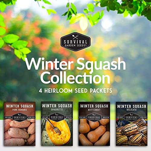 Survival Garden Seeds Winter Squash Collection Seed Vault - Non-Gmo Heirloom Varieties For Planting And Growing In The Vegetable Garden - Butternut, Delicata, Pink Banana, And Spaghetti Squash #TOP2
