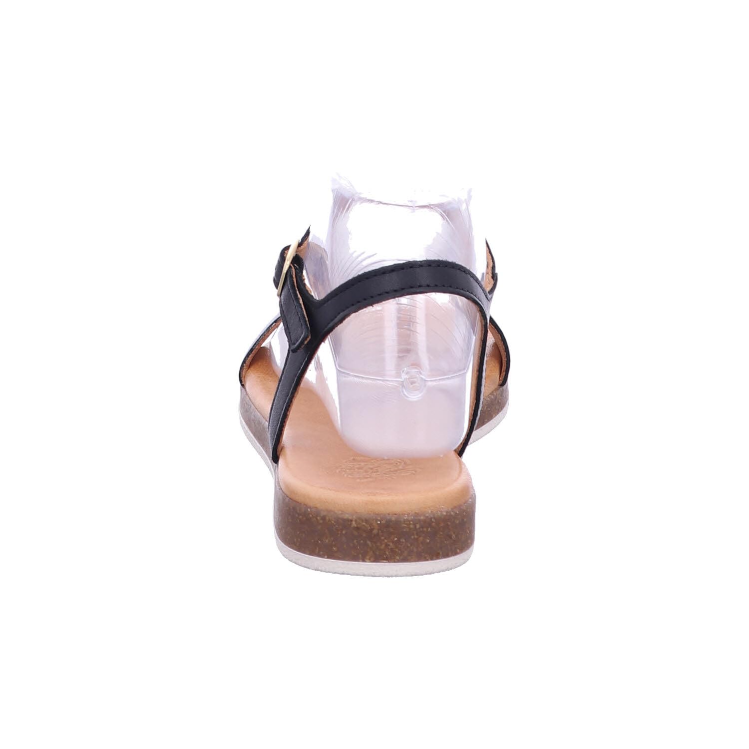 Apple of Eden Adult Master-Artikel SS24-ISA 1 schwarz