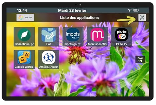 FACILOTAB XXL Classic – Senior-Tablet – einfach und intuitiv, ideal für ältere Menschen – sehr großer...