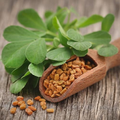 Alpi Nature Bockshornkleesamen ganz 250g, Bockshornklee ganz, Bockshornklee Gewürz, Fenugreek