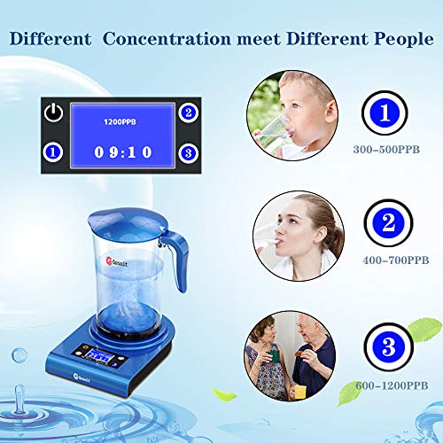 Wasserionisierer Gosoit für Wasserstoff und alkalisches Wasser