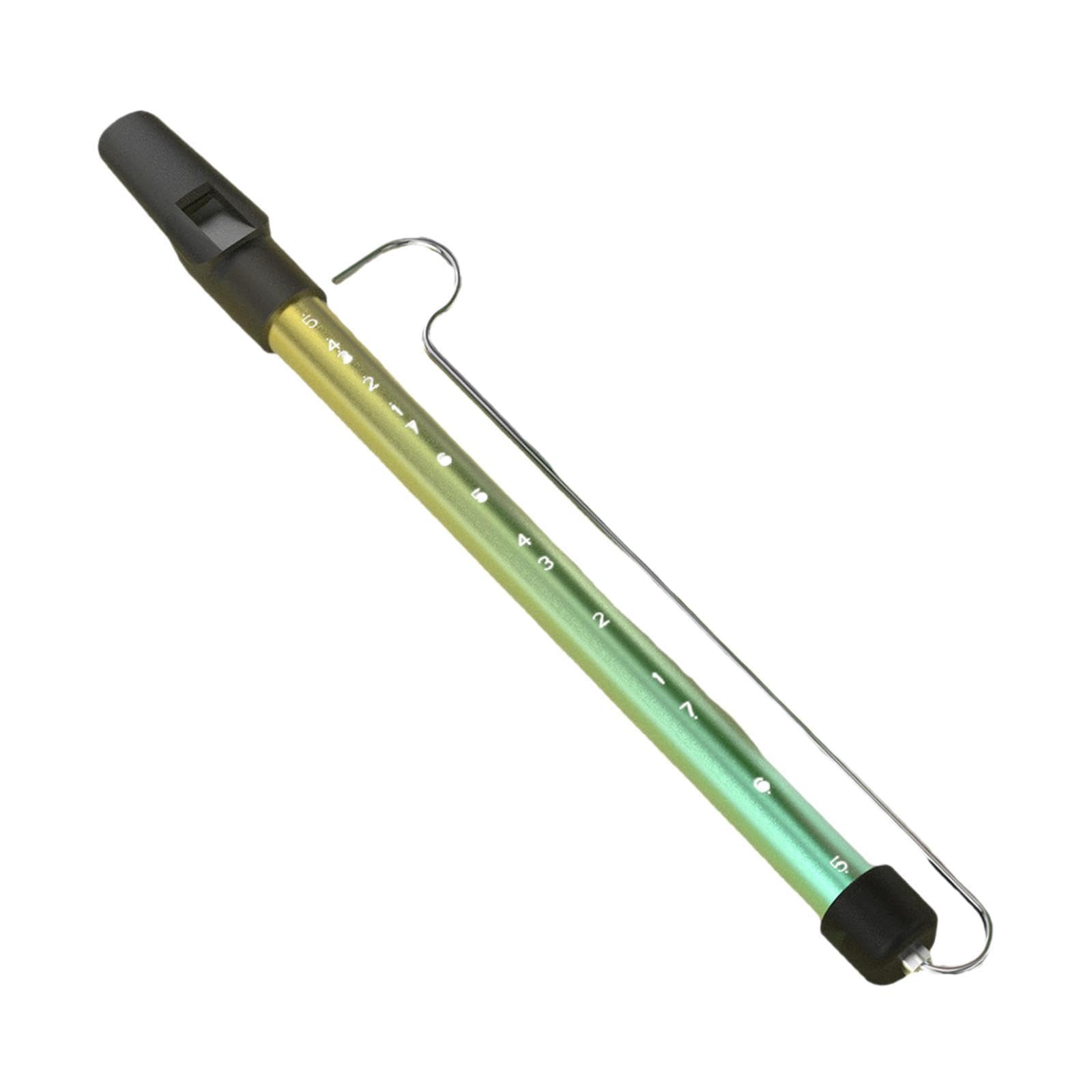 Slide Whistle Strumento musicale Strumento educativo Portatile Divertente Strumento a fiato Giocattolo per adulti per artisti di spettacoli, Multicolore