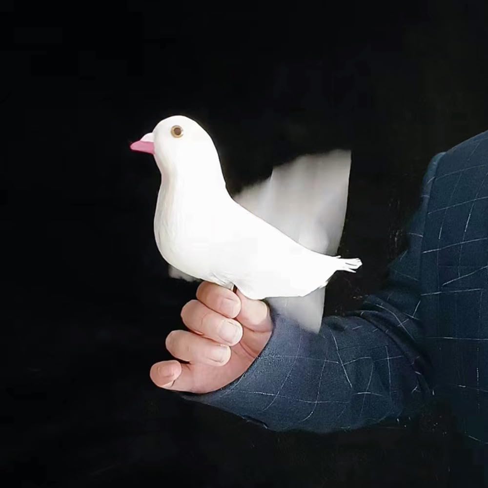 Amazon.com: ZQION Electronic Bionic Dove 2.0 Magic Tricks Classic