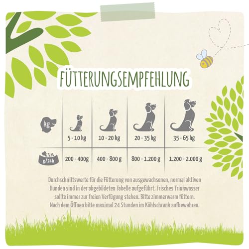 MjAMjAM – Premium Nassfutter für Hunde - natürlich lecker – Bio Rind an Zucchini,6er Pack (6 x 800g), getreidefrei mit extra viel Fleisch