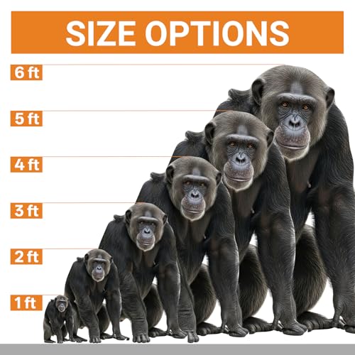 Image of Silverback Gorilla Life Size Cardboard Cutout, 5FT 1 PC | Silverback Gorilla Animal Standup for Events, Party Decor, Birthday Parties, Photography Backdrop, Home Decoration