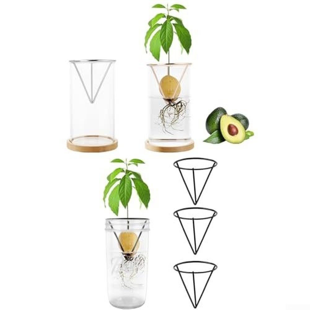 Base Triangular Metal Planta Crecimiento Raíces(3pcs)