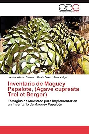 Inventario de Maguey Papalote, (Agave cupreata Trel et Berger): Estragias de Muestreo para Implementar en un Inventario de Maguey Papalote