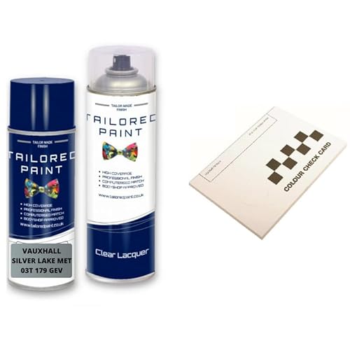 Per Vauxhall 2000-Present Silver Lake Met 03 T 179 Gev Aerosol Spray Vernice Professionale Ampia Ventola Spray Ugello Spray Spray (Vernice aerosol + Lacca)