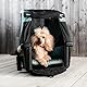 Bike Trailer Thule Bexey
