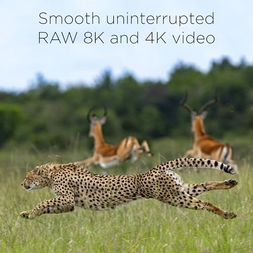 Integral 256GB CFexpress Memory Card Type B 2.0, 8K Raw & 4K 120 FPS 1800MB/s Read, 1200MB/s Write Speed, 450MB/s Sustained Write Designed for The Cinematographer and Professional Photographer - imagen 4