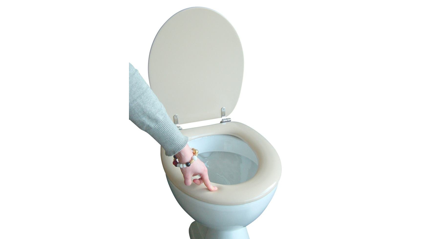 FORM & STYLE Wc-bril Stone met quick-release en softclose kopen