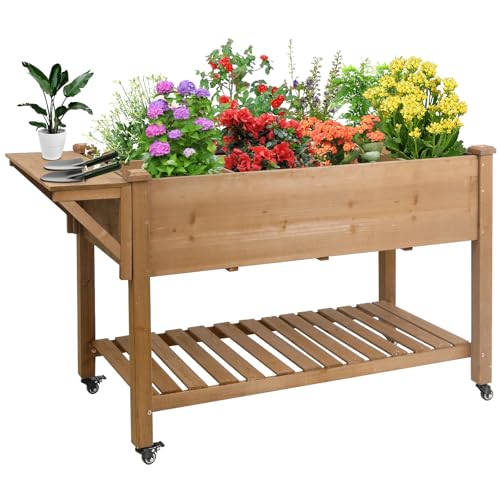 Raised Garden Bed Outdoor with Lockable Wheels, 55"x 24" x