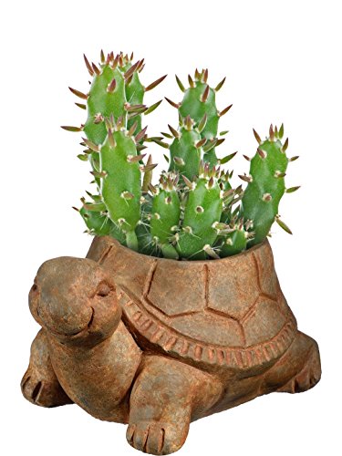 Classic Home and Garden Cement Buddies Indoor Outdoor Planter with Drainage Hole, Turtle, Rust, Large, 8in - Image 3