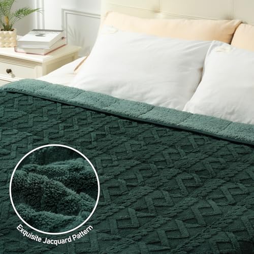 Wemore Weighted Blanket for Adults Twin Size 20 lbs, Dual Sided Soft Fuzzy Jacquard Sherpa Weighted Blankets for Sleeping, Cozy Fluffy Knitted Heavy Blanket for Couch Bed, Dark Green, 60 x 80 inches