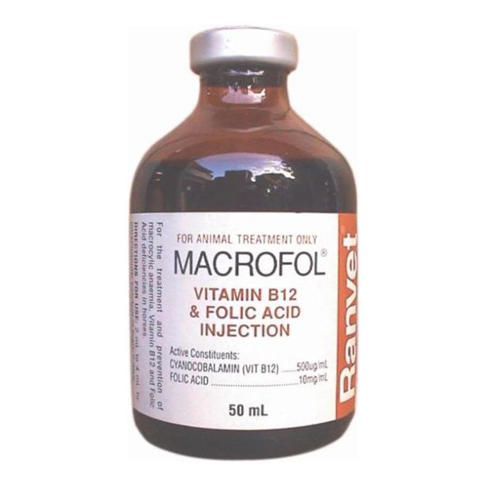 bpc 157 with or without food bpc 157 on empty stomach or with food BPC157 Dubai for Recovery, Healing & Joint Support