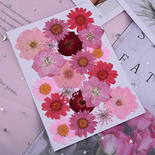 EXCEART 20 Unidades DIY Flores Secas E Prensadas Acessório de Arte de Unha para Resina Jóias Artesan
