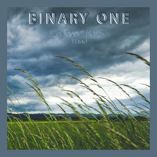 Binary One