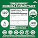 Zazzee USDA Organic Rhodiola 10:1 Extract, 120 Capsules, 4 Month Supply, Rhodiola Rosea, Energy, Stress & Mental Focus Support, Concentrated 10X Extract, All-Natural, Non-GMO, Made in the USA