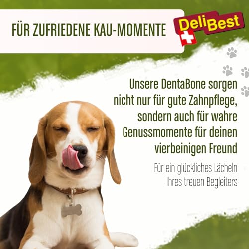DeliBest DentaBone Strauss I Kauknochen Hund leicht verträglich ohne Gluten I Kaustange Hund für die Zahnreinigung I Hundesnacks für groß und klein I Hundekauknochen 2 x 60 g