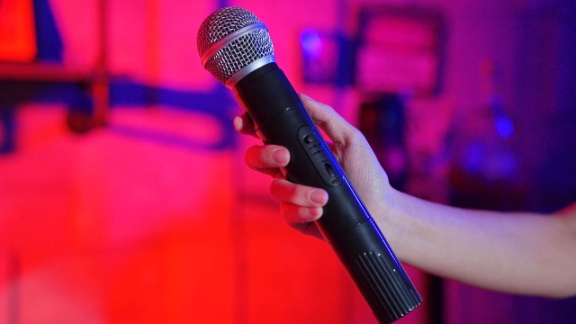 Micrófono De Juguete Altamente Simulado Elprico – Accesorio Para Karaoke, Actuaciones Infantiles Y Sesiones De Fotos, Ligero Y Portátil Con Interruptor