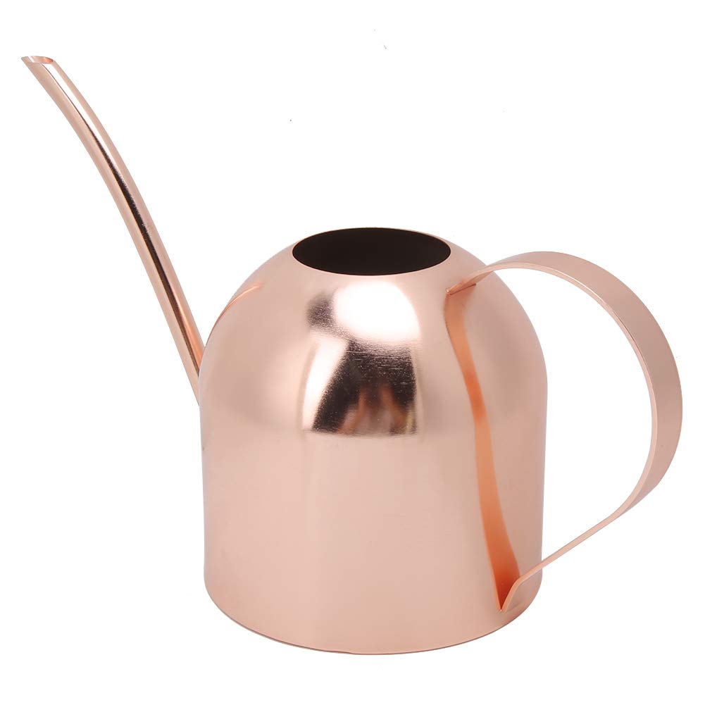 Home Watering Can - 1000 Ml Stainless Steel Watering Can Sprinkle Pot Long Mouth Garden Flowers Plants Water Container