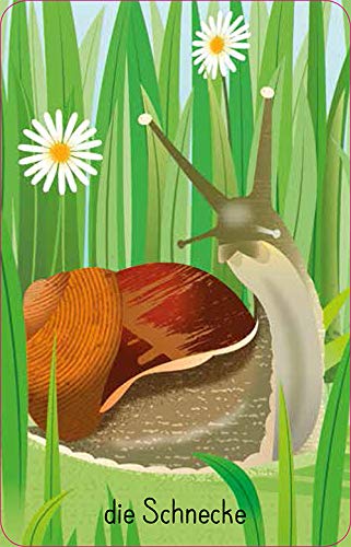 Foto von Schnapp und weg! Im Garten (Kinderspiel): Das superschnelle Kartenspiel (Schnapp-und-weg-Reihe)