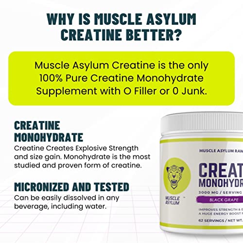 Image of Muscle Asylum - Pure Micronised Creatine Monohydrate,Black Grap Flavored (250g, 62 Servings), Rapid Absorption, Enhanced Muscle Strength & Power, Fast Recovery,Increased Muscle Mass Powder