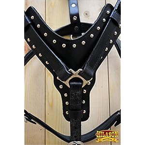 Hilason black medium leather dog harness padded genuine matching leash medium black | dog harness | dog leash | leather dog leash | dog walking harness | dog harness with leash | dog leash harness   cucciolini doodles