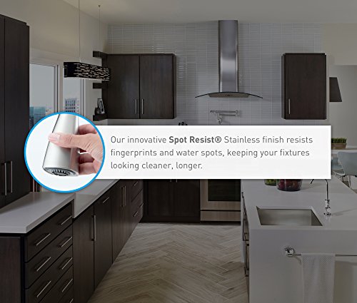 Moen S3946Srs Transitional Deck Mounted Kitchen Soap Dispenser With Above The Sink Refillable Bottle, Spot Resist Stainless #TOP1
