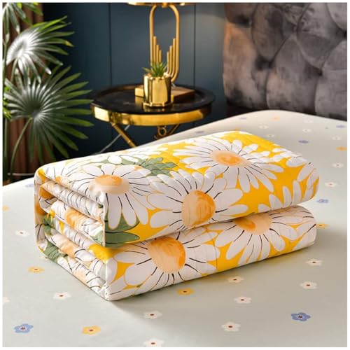 Couette d'été 2 personnes légère lavable couverture fraîche coton