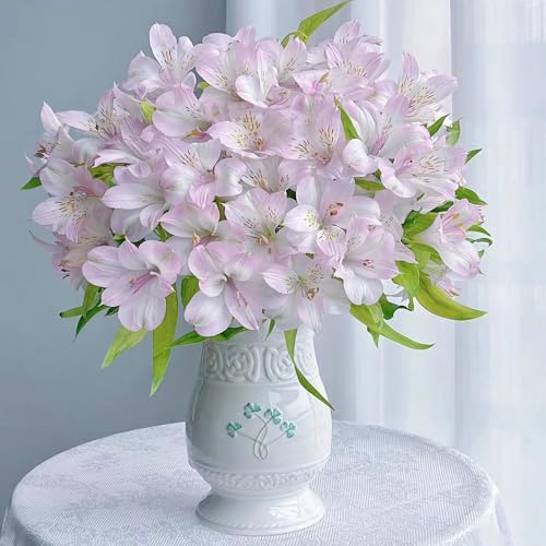 20 piezas flores Alstroemeria semillas de plantas - maceta, Alstroemeria, flores de jardín semillas de flores de invitados maceta plantas resistentes para jardín