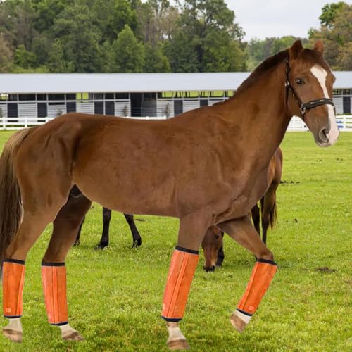 Amagogo 4Pcs Horse Fly Boots Horse Leg Wraps Acessórios Equestres Portáteis Protetores de Pernas de