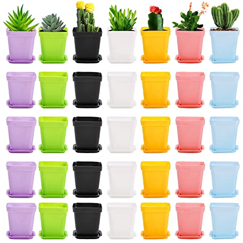 Hedume 70 Pack Mini Plastic Flower Seedling Nursery Pot...