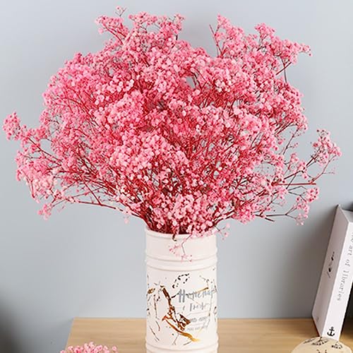 Ramo de Flores Secas Gypsophila 17.2 Pulgadas miniatura 2